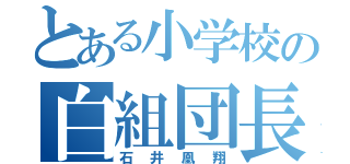 とある小学校の白組団長（石井凰翔）