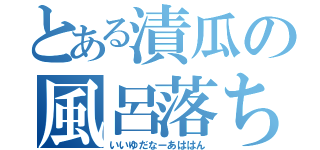 とある漬瓜の風呂落ち（いいゆだなーあははん）