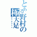 とある野村の極大足（ビッグフット）