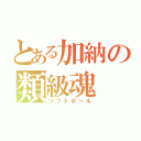 とある加納の類級魂（ソフトボール）