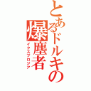 とあるドルキの爆塵者（イクスプロジア）