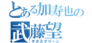 とある加寿也の武藤望（ヤヌスグリーン）