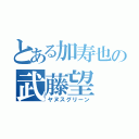 とある加寿也の武藤望（ヤヌスグリーン）