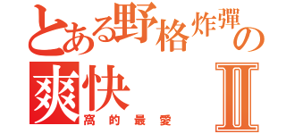 とある野格炸彈の爽快Ⅱ（窩的最愛）