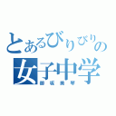 とあるびりびりの女子中学生（御坂美琴）