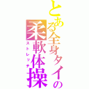 とある全身タイツの柔軟体操（ストレッチ）