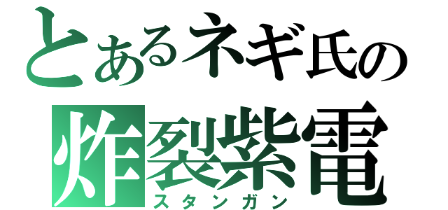 とあるネギ氏の炸裂紫電（スタンガン）