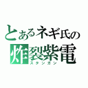 とあるネギ氏の炸裂紫電（スタンガン）