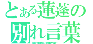 とある蓮蓬の別れ言葉（さよなライオンは言わない。また会おウサギ友よ・・・）