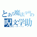 とある魔法学校の呪文学助教授（ピーターパン）