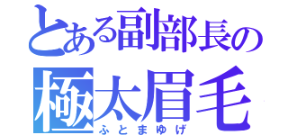 とある副部長の極太眉毛（ふとまゆげ）