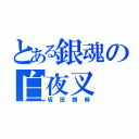 とある銀魂の白夜叉（坂田銀時）