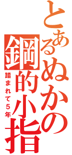 とあるぬかの鋼的小指（踏まれて５年）