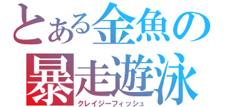 とある金魚の暴走遊泳（クレイジーフィッシュ）