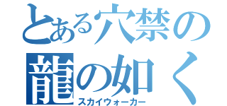 とある穴禁の龍の如く（スカイウォーカー）