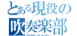 とある現役の吹奏楽部（Ｏｎｅ Ｓｏｕｎｄ ｉｎｔｏ ｔｈｅ Ｓｏｕｌ）