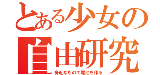 とある少女の自由研究（身近なもので電池を作る）