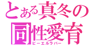 とある真冬の同性愛育（ビーエルラバー）