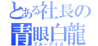 とある社長の青眼白龍（ブルーアイズ）