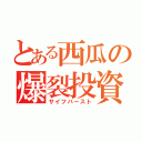 とある西瓜の爆裂投資（サイフバースト）