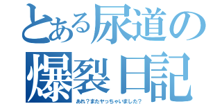 とある尿道の爆裂日記（あれ？またヤっちゃいました？）