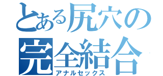 とある尻穴の完全結合（アナルセックス）