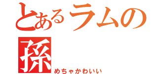 とあるラムの孫（めちゃかわいい）