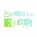 とある魔導士の３日間物語（物語）