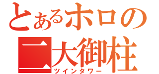 とあるホロの二大御柱（ツインタワー）