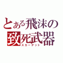 とある飛沫の致死武器（スカーデット）