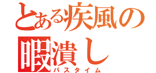 とある疾風の暇潰し（パスタイム）