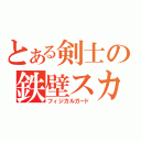 とある剣士の鉄壁スカート（フィジカルガード）