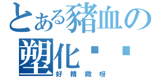 とある豬血の塑化鸡鸡（好精緻呀）