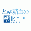 とある豬血の塑化鸡鸡（好精緻呀）