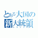 とある大国の新大統領（トランプ）