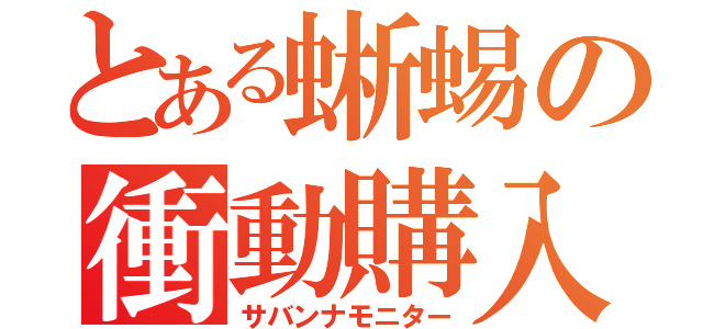 とある蜥蜴の衝動購入（サバンナモニター）