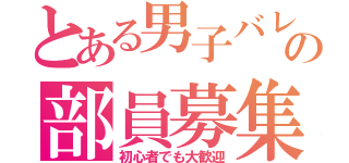 とある男子バレー部の部員募集（初心者でも大歓迎）