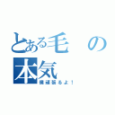 とある毛の本気（僕頑張るよ！）