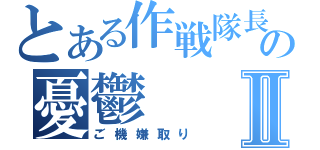 とある作戦隊長の憂鬱Ⅱ（ご機嫌取り）