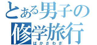 とある男子の修学旅行（ばかさわぎ）