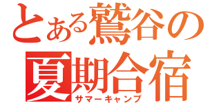 とある鷲谷の夏期合宿（サマーキャンプ）