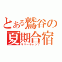 とある鷲谷の夏期合宿（サマーキャンプ）