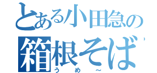 とある小田急の箱根そば（うめ～）