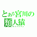 とある宮川の類人猿（サイバイマン）