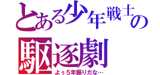 とある少年戦士の駆逐劇（よぅ５年振りだな…）