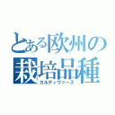 とある欧州の栽培品種（カルディヴァース）