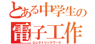 とある中学生の電子工作（エレクトリックワーク）