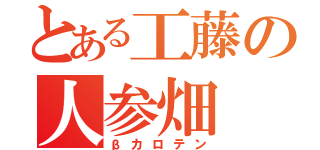 とある工藤の人参畑（βカロテン）