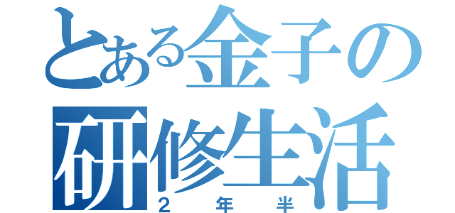 とある金子の研修生活（２年半）