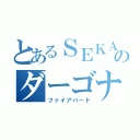 とあるＳＥＫＡＩ ＮＯ ＯＷＡＲＩのダーゴナイ（ファイアバード）